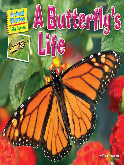 Title details for A Butterfly's Life by Ellen Lawrence - Wait list
